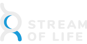 Stream of Life